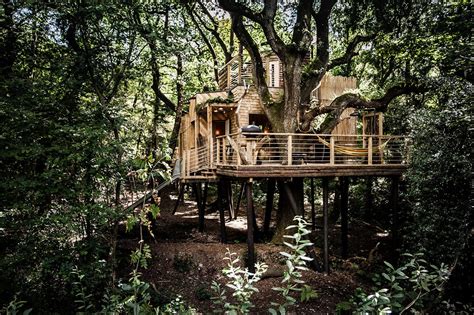 Witchcraft tree house